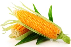 29951-corn