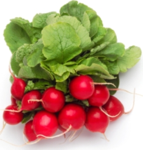 radish nutrition facts_health benefits of radishes